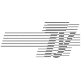 TY HOLDINGS LIMITED